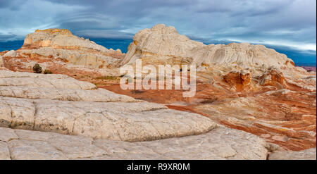 Sandstein Klippen, White Pocket, Vermillion Cliffs National Monument, Paria Plateau, Arizona Stockfoto