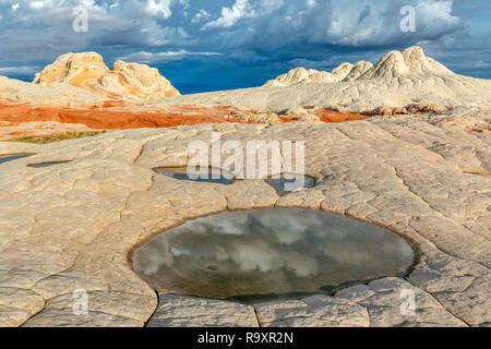 Sandstein Klippen, White Pocket, Vermillion Cliffs National Monument, Paria Plateau, Arizona Stockfoto