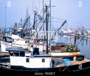 Nebligen Hafen, Crescent City, Del Norte County, Kalifornien Stockfoto