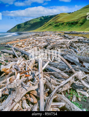 Treibholz, Spanisch Flach, König Range National Conservation Area, The Lost Coast, Humboldt County, Kalifornien Stockfoto