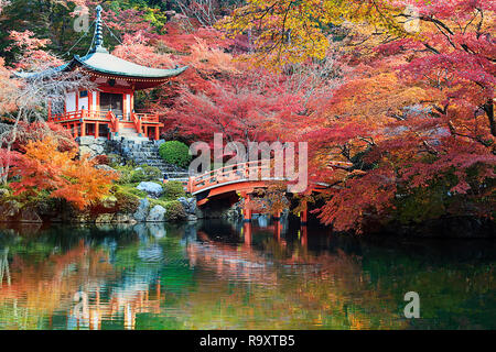 Der Daigo-ji-Tempel mit bunten Ahorn Bäume im Herbst, Kyoto, Japan Stockfoto