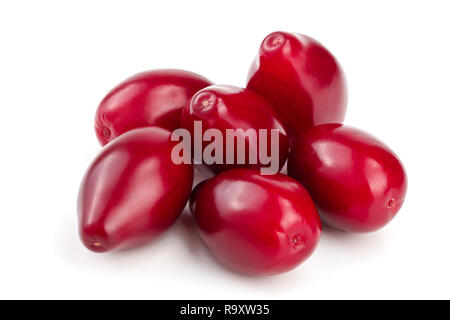 Rote beeren cornel oder Hartriegel auf weißem Hintergrund. Stockfoto