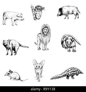Große Reihe von Hand gezeichnete Skizze Stil Tiere auf weißem Hintergrund. Vector Illustration. Stock Vektor