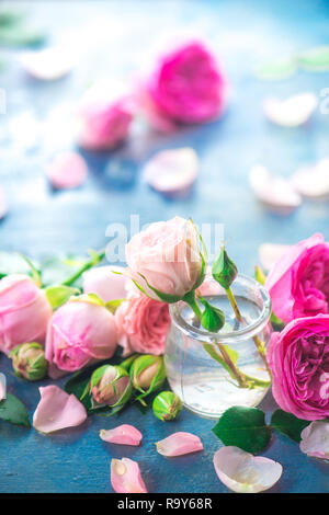 Rosa Rosen in kleinen Glasflaschen auf einen neutralen grauen Hintergrund mit kopieren. Eine feminine Konzept mit Blüten und Blumen in Pastelltönen Stockfoto