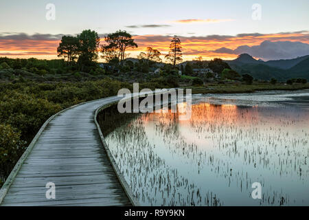 Pauanui, Coromandel Halbinsel, Waikato, North Island, Neuseeland Stockfoto