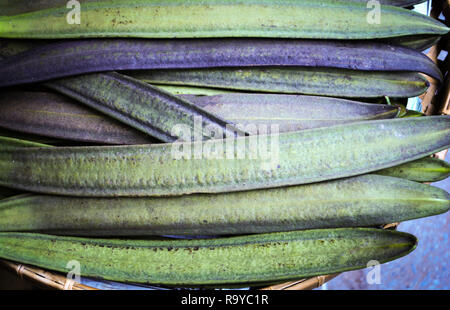 Baum, indische Trompete Blume/Oroxylum indicum auf dem Markt Stockfoto