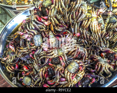 Schalen von Meeresfrüchten in Chinatown in Bangkok. Softshell Krabben suchen zum Kauf bereit. Stockfoto