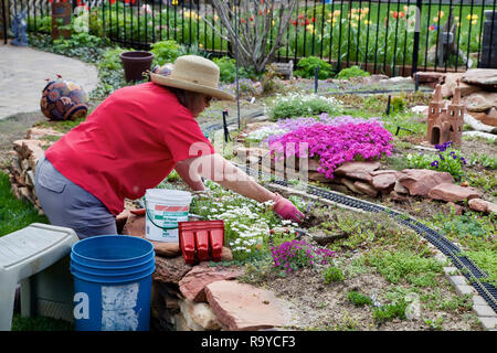 Eine Frau Gärtner kniet in ihrer Eisenbahn Blumen Garten pflanzen Sommerblumen mit viel Konzentration. Stockfoto