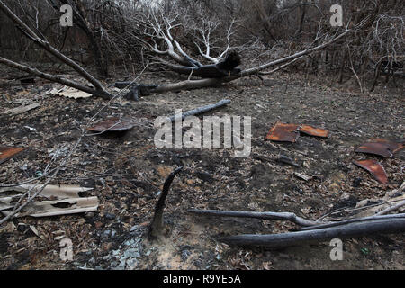 Bleibt der ukrainischen Dorf Polesskoye nach Waldbränden in der Sperrzone von Tschernobyl wütete. Wiederkehrenden Waldbrände führen zu einer erneuten fallen heraus Stockfoto