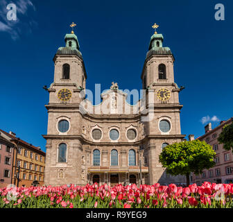 Tulpen in voller Blüte vor der Kathedrale von St. James (Dom zu St. Jakob), 1724, Barock, Altstadt in Innsbruck, Tirol, Österreich Stockfoto