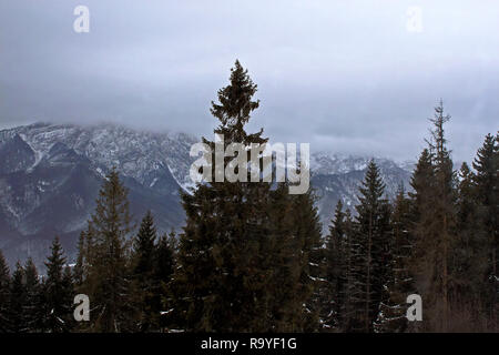 Blick von Gubalowka (1.126 m) auf der Tatra, Zakopane, Poalnd Stockfoto