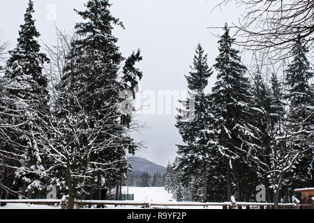 Schwarze und weiße Landschaft aus Schnee bedeckt Bäume und Berge an einem trüben Wintertag, Zakopane, Polen Stockfoto