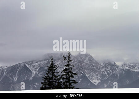 Blick von Gubalowka (1.126 m) auf der Tatra, Zakopane, Poalnd Stockfoto