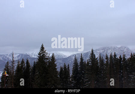 Blick von Gubalowka (1.126 m) auf der Tatra, Zakopane, Poalnd Stockfoto