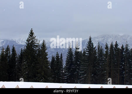 Blick von Gubalowka (1.126 m) auf der Tatra, Zakopane, Poalnd Stockfoto