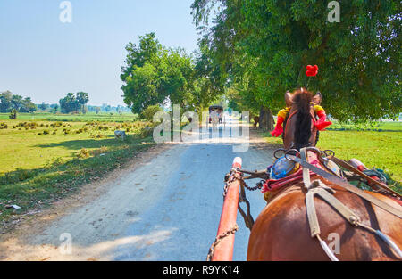 AVA, MYANMAR - 21. FEBRUAR 2018: Das Pferd - Karren mit Touristen oft Fahrten entlang der schmalen Straßen der alten Stadt mit grünen Paddy-Felder gezeichnet, Stockfoto