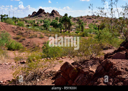 Papago Park am Stadtrand von Phoenix und Tempe, AZ, mit Wüste Landschaft plus kleiner See, USA Stockfoto