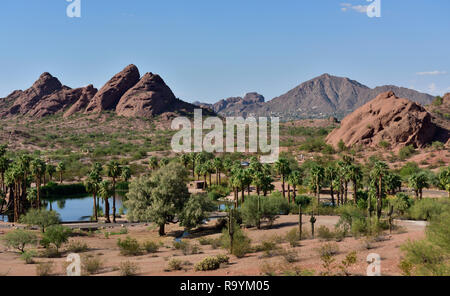 Papago Park am Stadtrand von Phoenix und Tempe, AZ, mit Wüste Landschaft plus kleiner See, Palmen, Felsen, USA Stockfoto