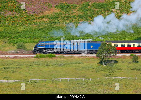 60007 Sir Nigel Gresley Dampflok auf der North Yorkshire Moors Railway in Goathland. Stockfoto