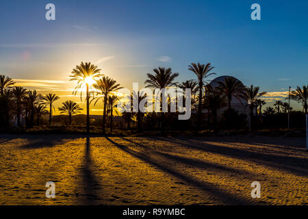 Sonnenuntergang hinter Palmen und Silhouette der Planetarium Gebäude in Pinar Strand (Playa del Pinar) in Castellón de la Plana, Spanien Stockfoto