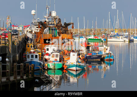 Eine Flotte von verschiedenen Arten der Fischerboote, die in den Hafen von Scarborough in North Yorkshire. Stockfoto