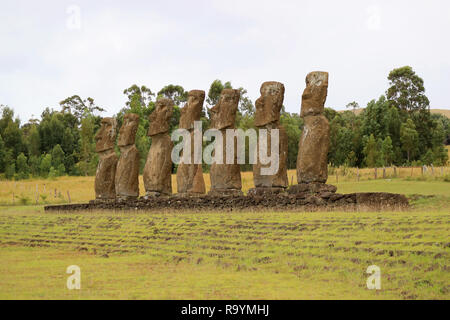 Ahu Akivi, die zeremonielle Plattform, die die Gruppe der Moai Statuen auf der Suche nach außen in Richtung Pazifik, Easter Island, Chile, Südamerika Stockfoto