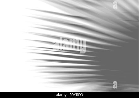 Sommer abstrakt Hintergrund von exotischen Schatten Palm Blätter auf einer weißen Wand. Weiß und Schwarz für ein Foto oder ein Mockup Stockfoto