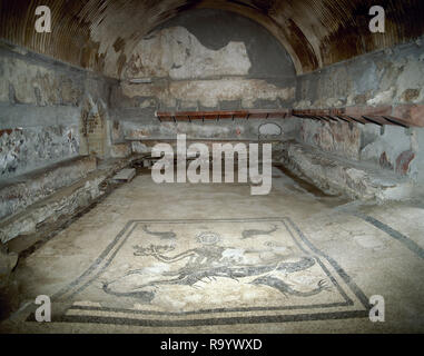 Italien. Herculaneum. Zentrale Thermae (ca. Anfang des 1. Jh. nach Chr.). Die Bäder. Das Tepidarium hat eine gewölbte Decke mit Stuck verziert. Es wurde mit Hilfe von heißer Luft, die unter dem Boden und in den Kanälen in der Wand erwärmt. Der Boden ist ein Mosaik, ein Triton von Delfinen umgeben. Stockfoto