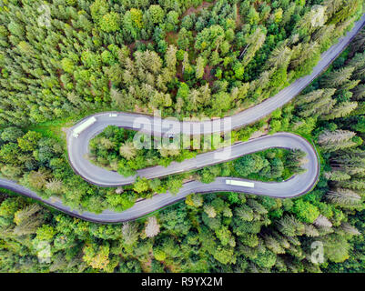 Oben Blick auf kurvenreichen Pass Straße durch grünen Wald, Rumänien Stockfoto