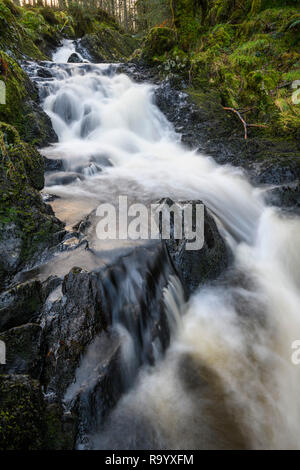 Kennick brennen Wasserfall, in der Nähe von Laurieston, Galloway Forest, Dumfries and Galloway, Schottland Stockfoto