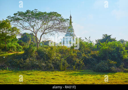 Das prunkvolle weiße Stupa von Desada Taya Pagode mit alten goldenen hti Schirm ist durch das Dickicht der grün hinter der Verbreitung von Acacia catechu gesehen Stockfoto