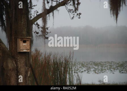 Nebel am See Stockfoto