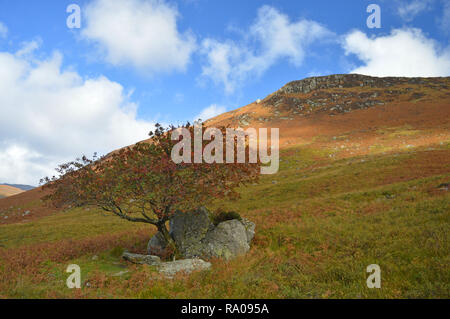 Blick vom Spaziergang im Glen Rosa auf der Isle of Arran Stockfoto