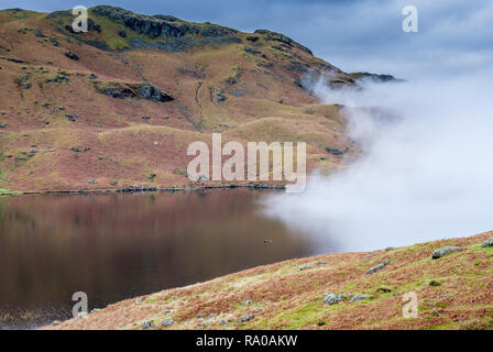 Sprühnebel, easedale Tarn, Grasmere, Lake District, Cumbria verletzen. Stockfoto