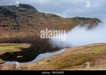 Sprühnebel, easedale Tarn, Grasmere, Lake District, Cumbria verletzen. Stockfoto