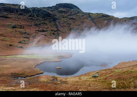 Sprühnebel, easedale Tarn, Grasmere, Lake District, Cumbria verletzen. Stockfoto