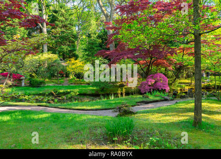 Japanischer Garten in Den Haag Stockfoto