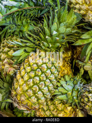 Große Anzahl von Ananas auf dem Markt in einem unorganisierten Haufen. Stockfoto