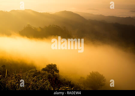 Ausflug auf den höchsten Berg von Pai - Bergblick mit nebligen Umgebung während der Sonnenaufgang am Morgen in Doi Thong sicht Pai Mae Hong Son Prov Stockfoto