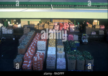 Boxen von Gemüse auf dem FLEMINGTON MÄRKTE (Sydney), Sydney, New South Wales, Australien. Stockfoto