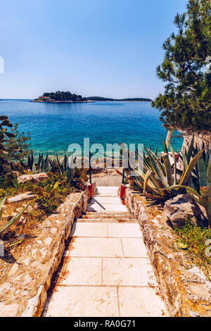 Weg zum Strand. Pfad zu den felsigen Stränden der Adria. Pfad zu der Strand an der Adria. Hvar, Kroatien. Stockfoto
