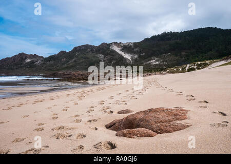 Spuren entlang Praia do Trece Strand am Leuchtturm Wanderweg in der Nähe von Camarinas, Galizien, Spanien Stockfoto