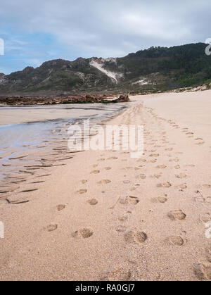 Spuren entlang Praia do Trece Strand am Leuchtturm Wanderweg in der Nähe von Camarinas, Galizien, Spanien Stockfoto