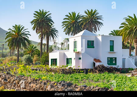 Schönen typischen weißen Haus mit Palmen Hintergrund in Haria, Lanzarote, Kanarische Inseln, Spanien. Stockfoto