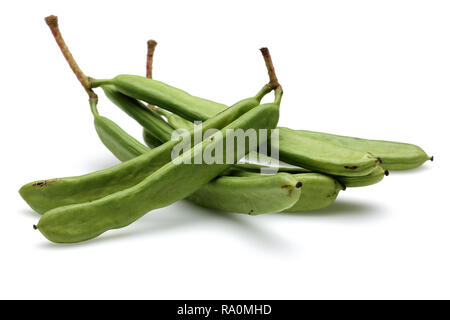 Grüne Johannisbrot Schoten auf weißem Hintergrund Stockfoto