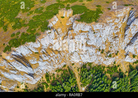 Rock über dem grünen Wald in den Bergen, im Sommer Landschaft Stockfoto