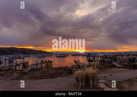 Sonnenuntergang über den Titicaca-see in Bolivien Stockfoto