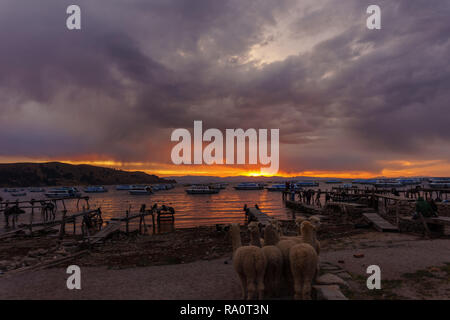 Sonnenuntergang über den Titicaca-see in Bolivien Stockfoto