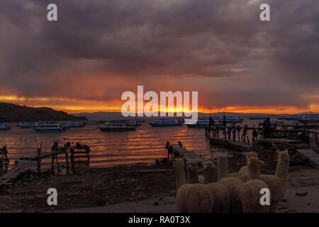 Sonnenuntergang über den Titicaca-see in Bolivien Stockfoto