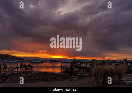 Sonnenuntergang über den Titicaca-see in Bolivien Stockfoto